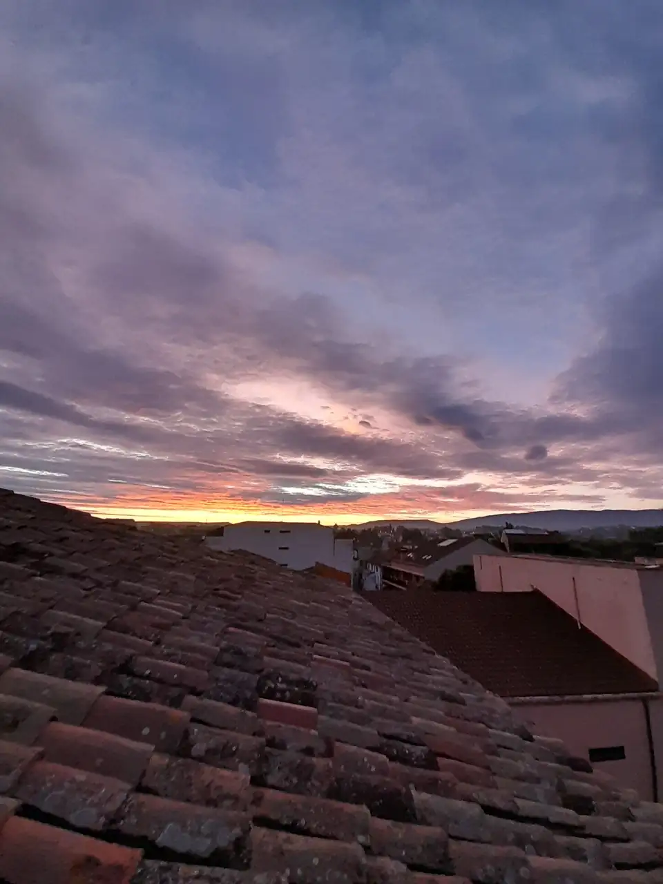 1000015793.webp
