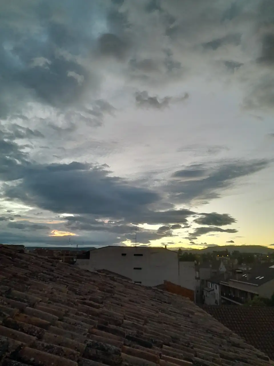 1000015821.webp