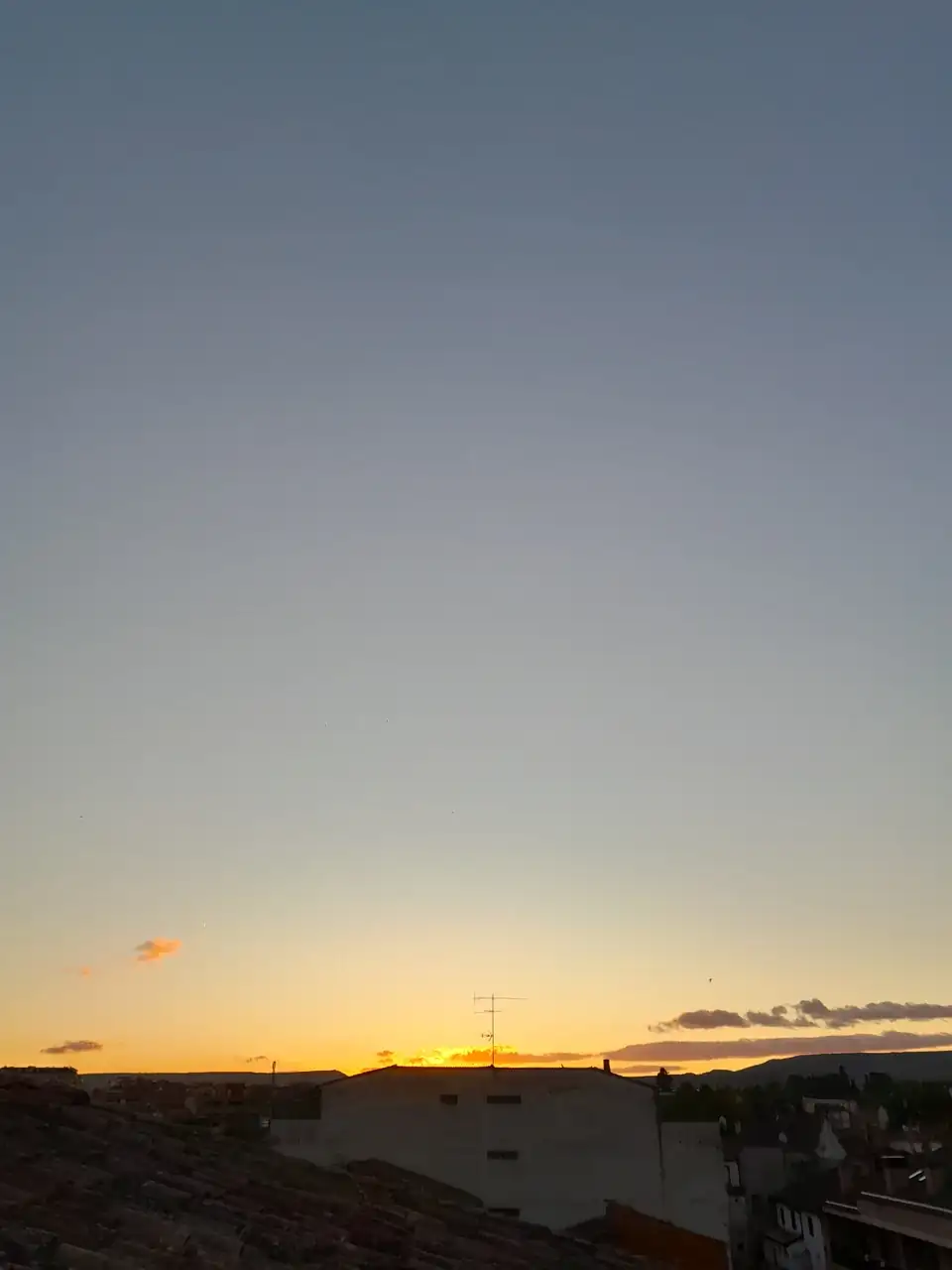 1000015869.webp