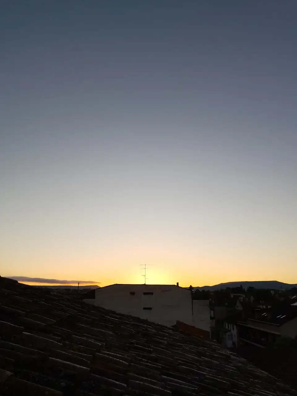 1000016138.webp