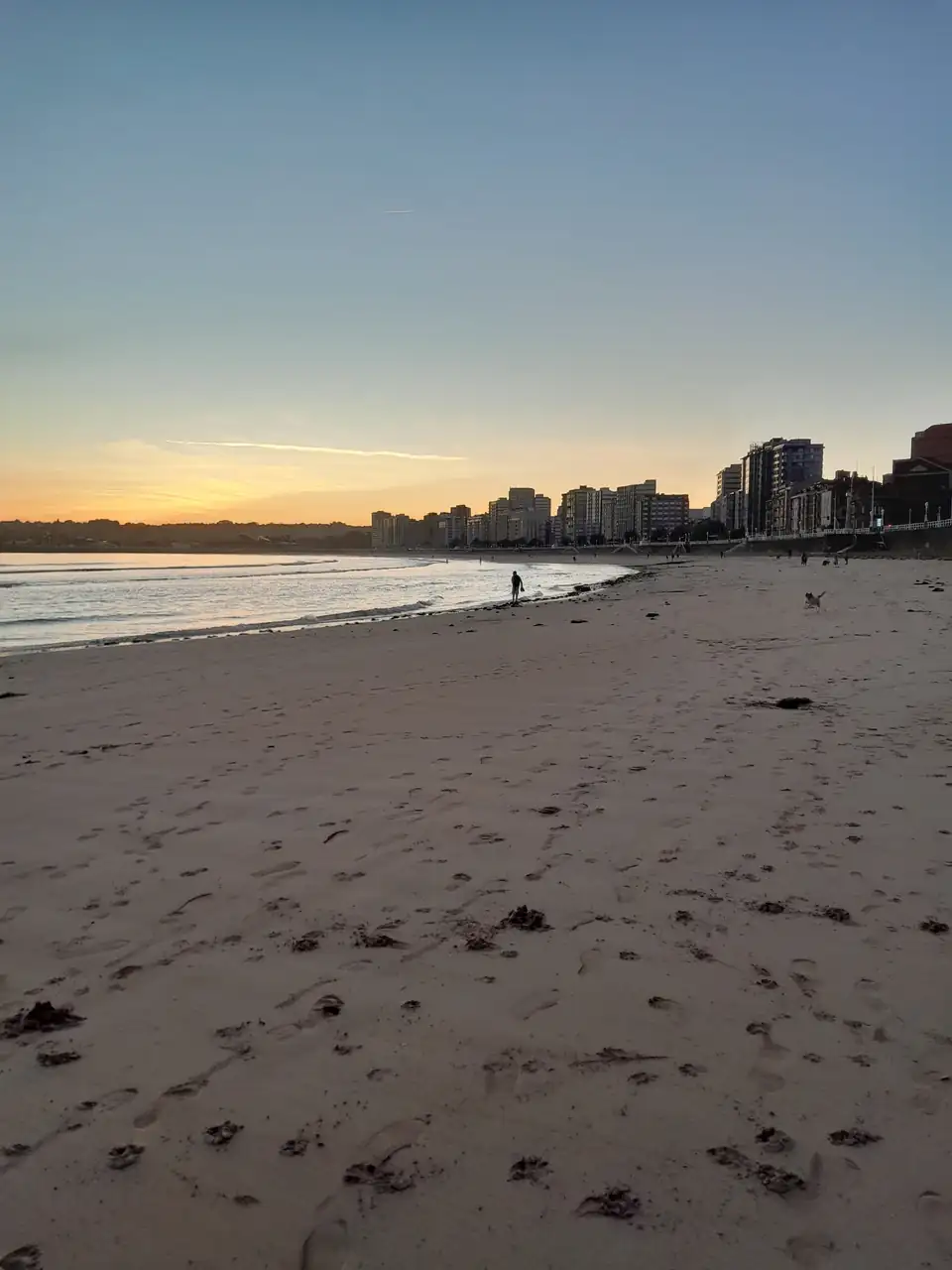 1000016542.webp