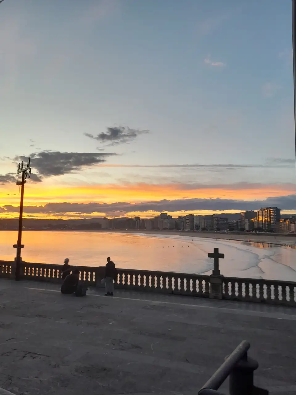 1000016609.webp