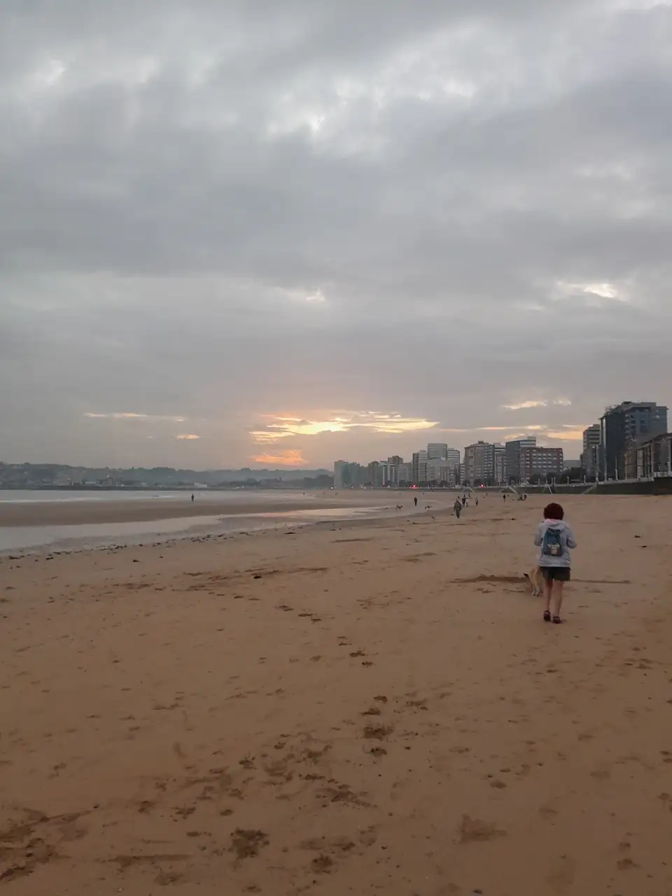 1000016701.webp