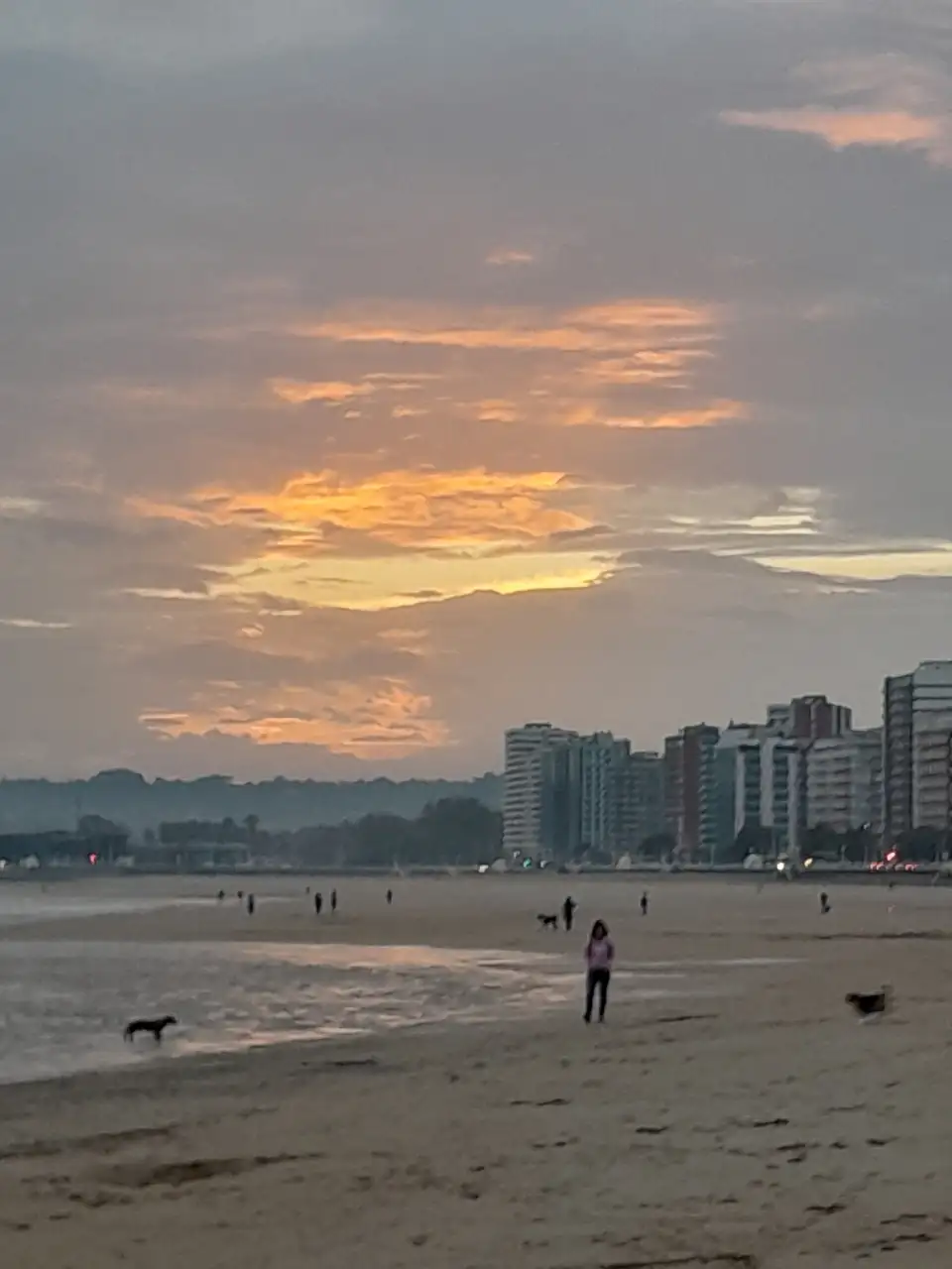 1000016703.webp