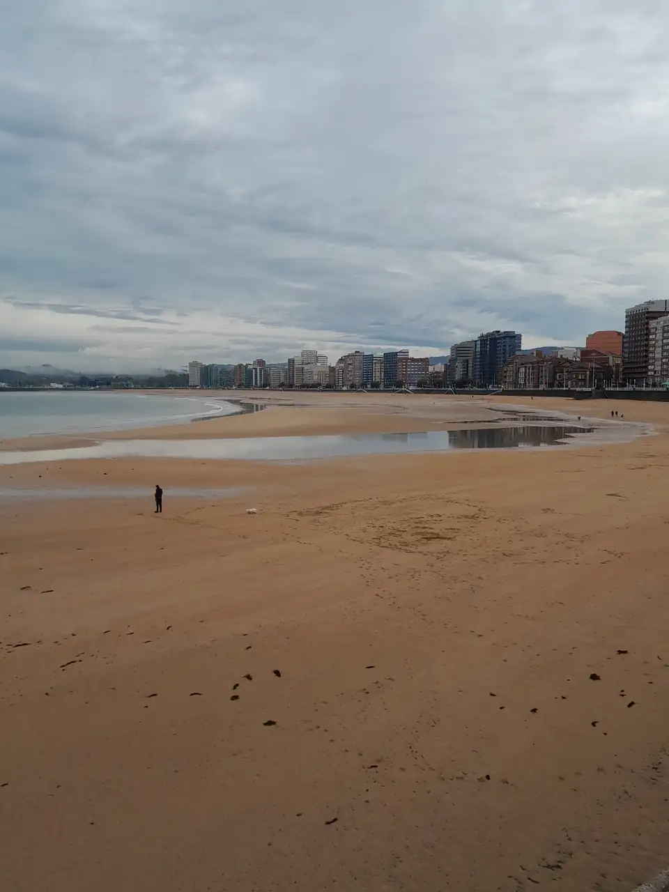 1000016760.webp