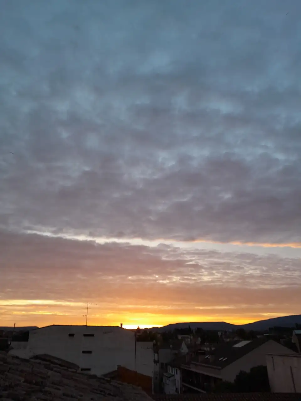 1000016959.webp