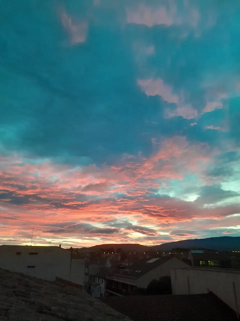 1000018036.webp