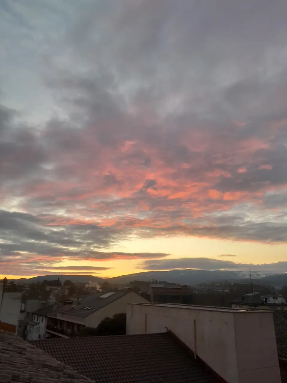 1000018915.webp