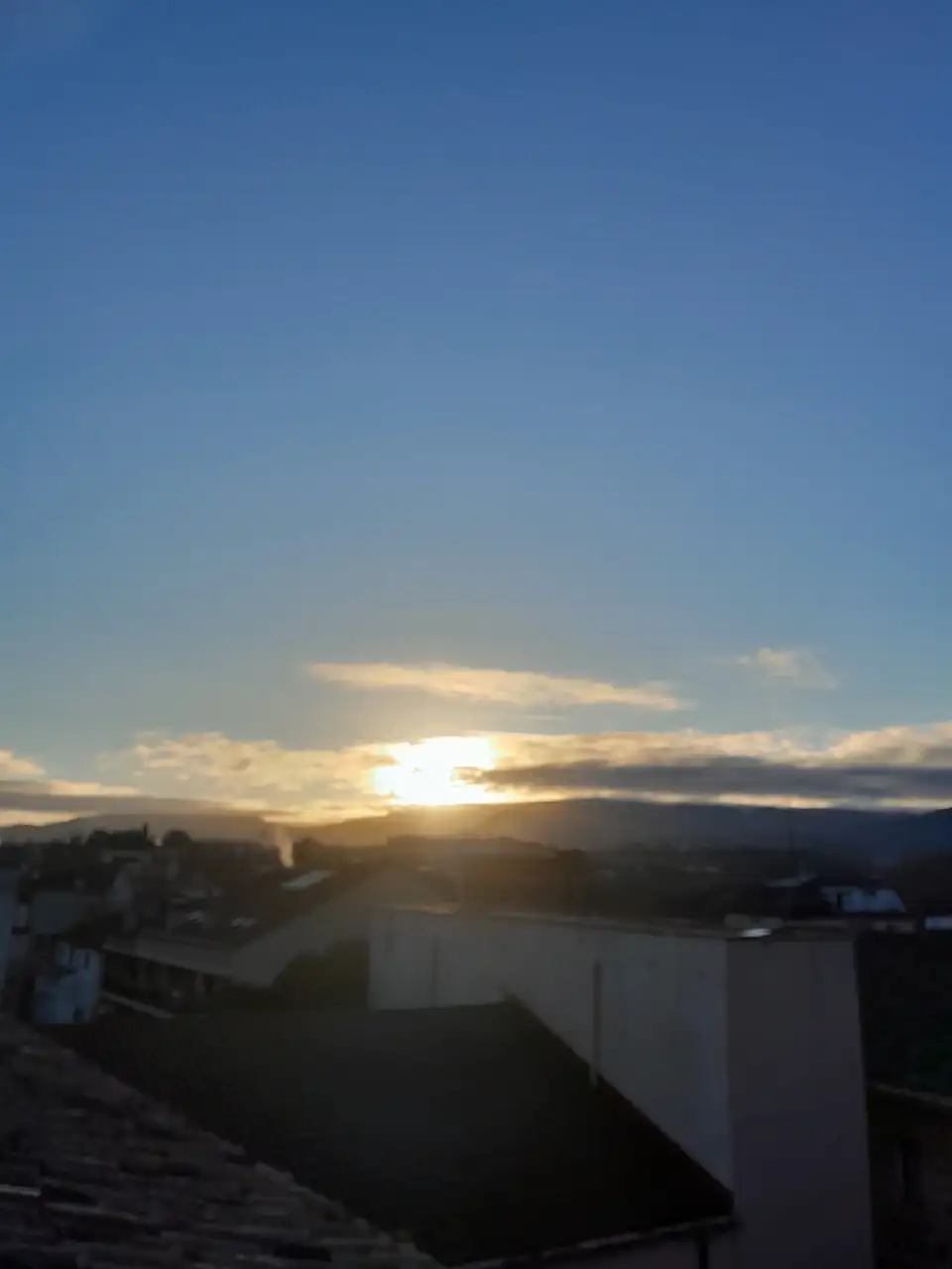 1000019226.webp