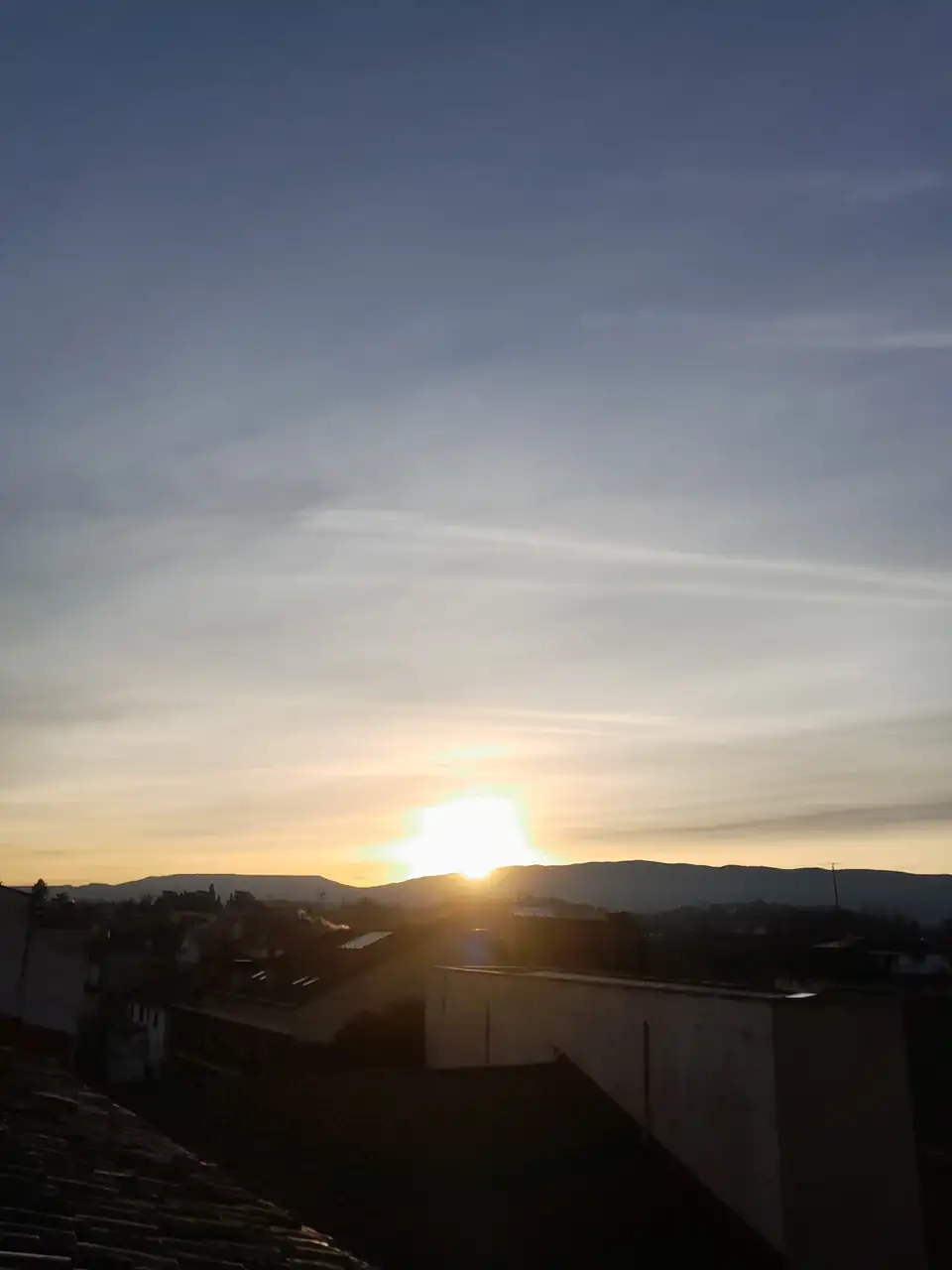1000019274.webp