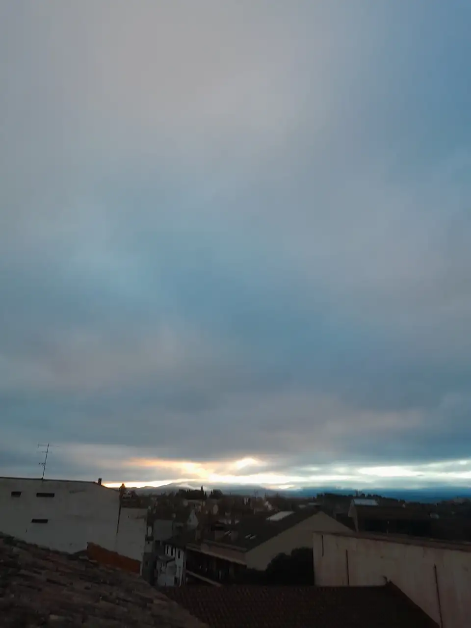 1000019498.webp