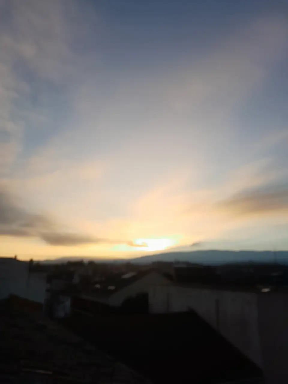 1000019528.webp