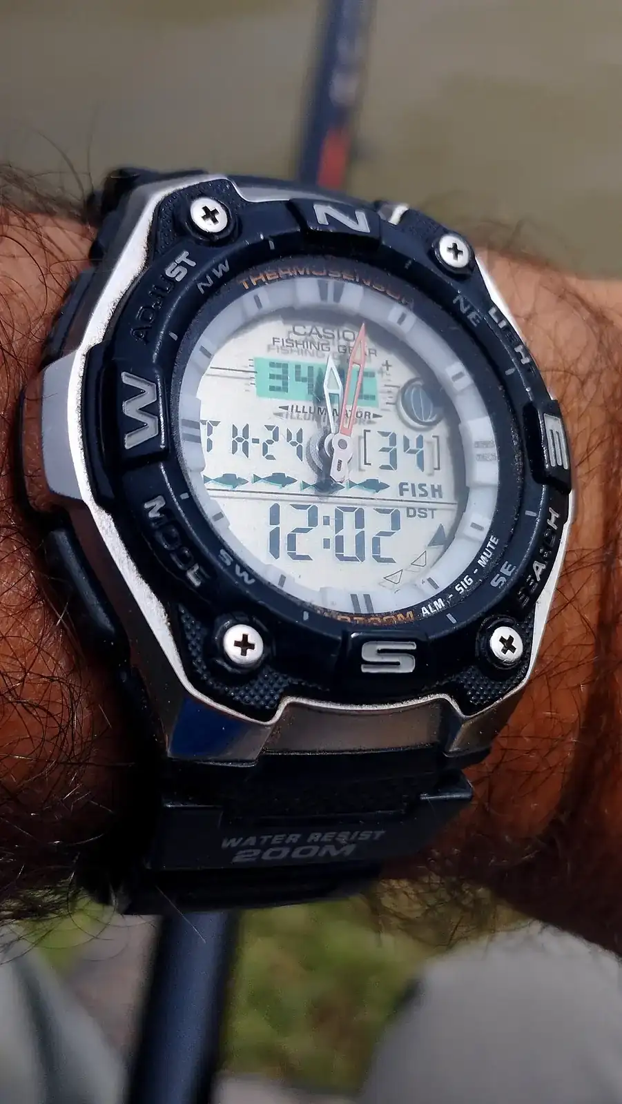 1000019564.webp