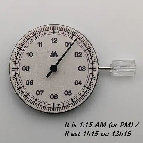 1000019814.webp