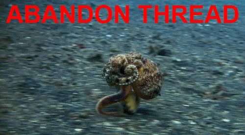 1000020545.gif