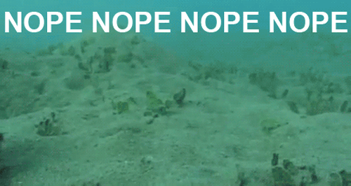 1000020546.gif