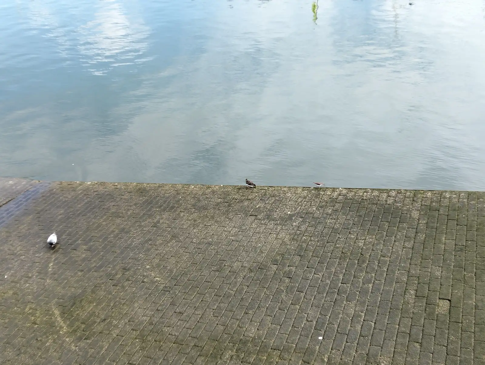 1000021052.webp