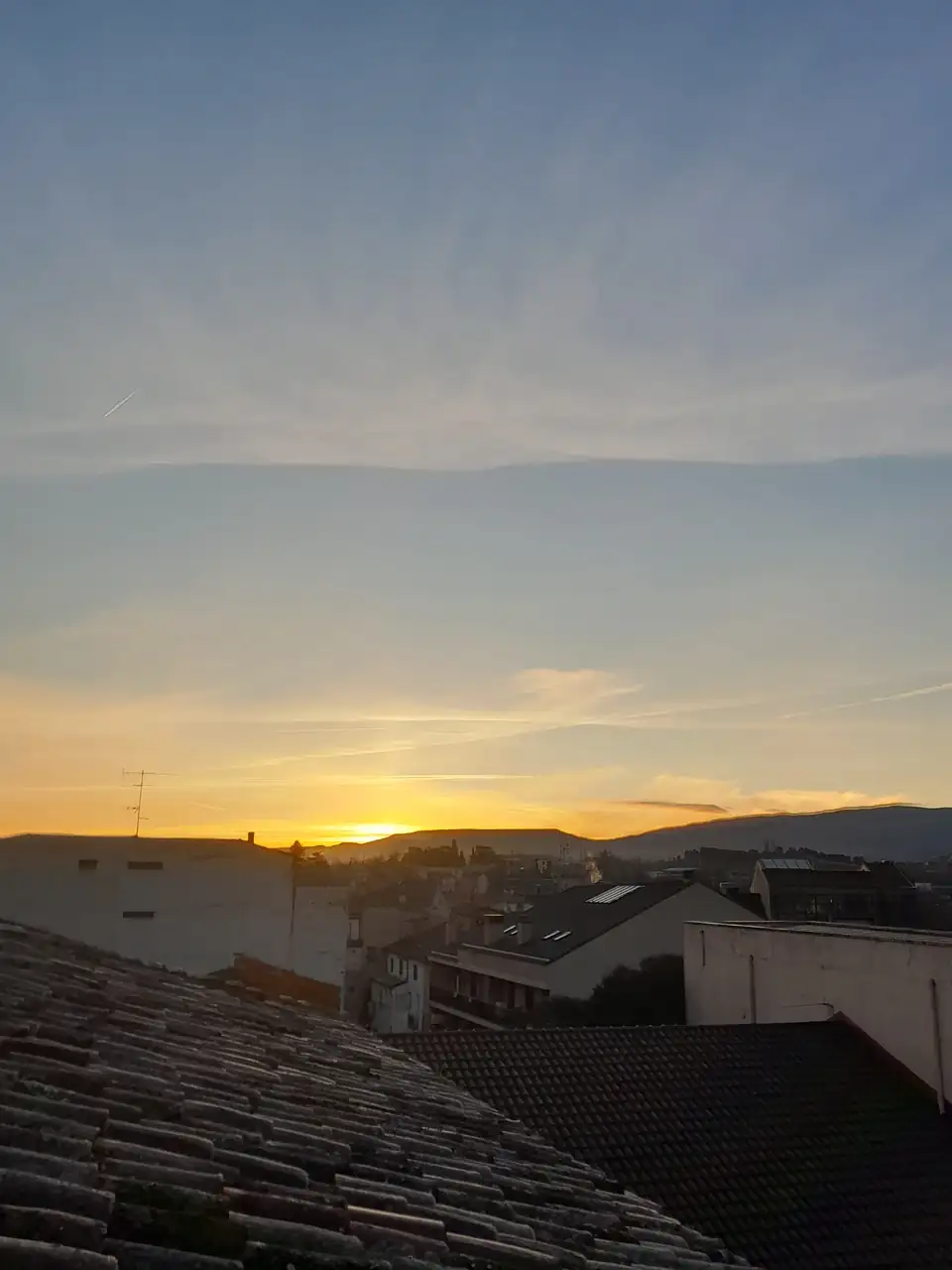 1000021432.webp