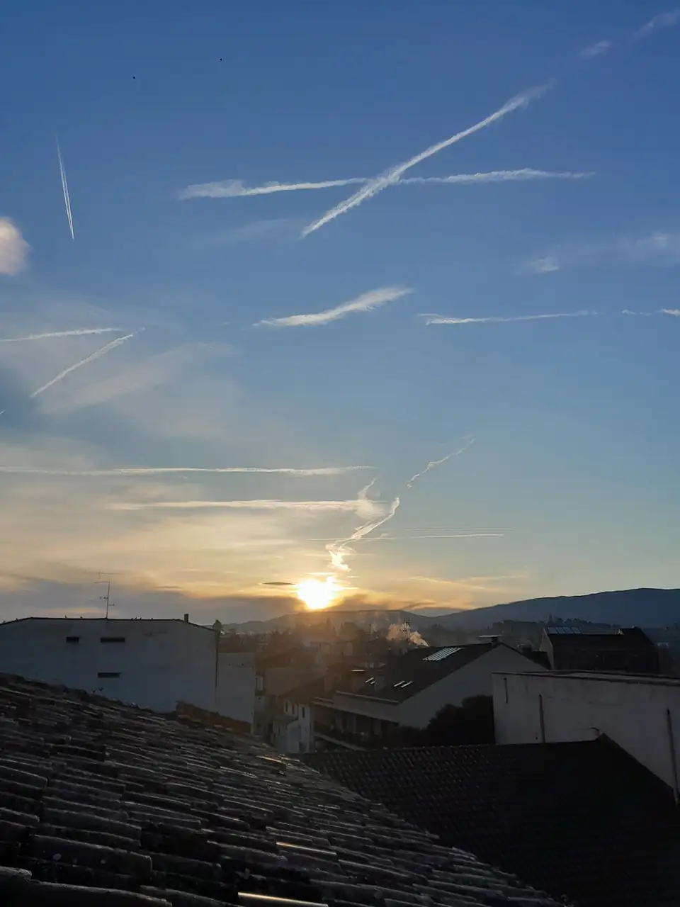 1000021460.webp