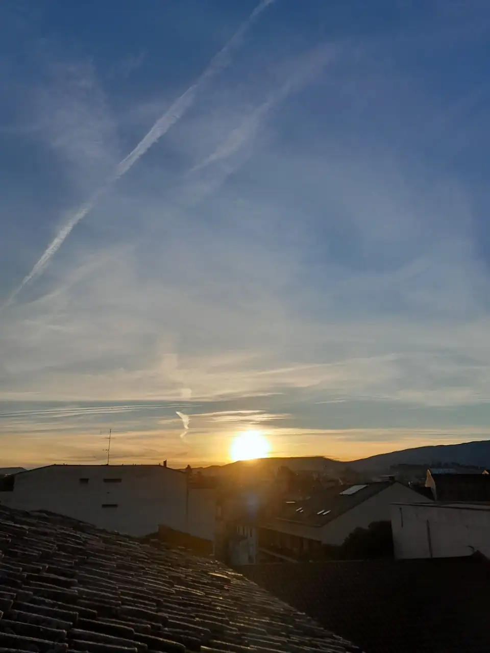 1000021517.webp