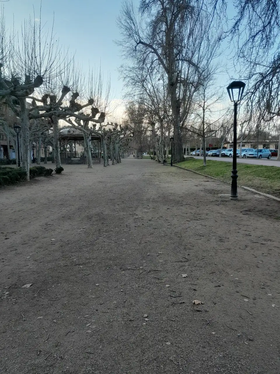 1000021579.webp