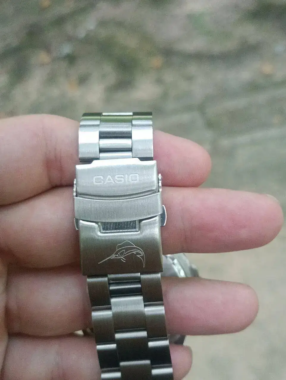 1000021915.jpg