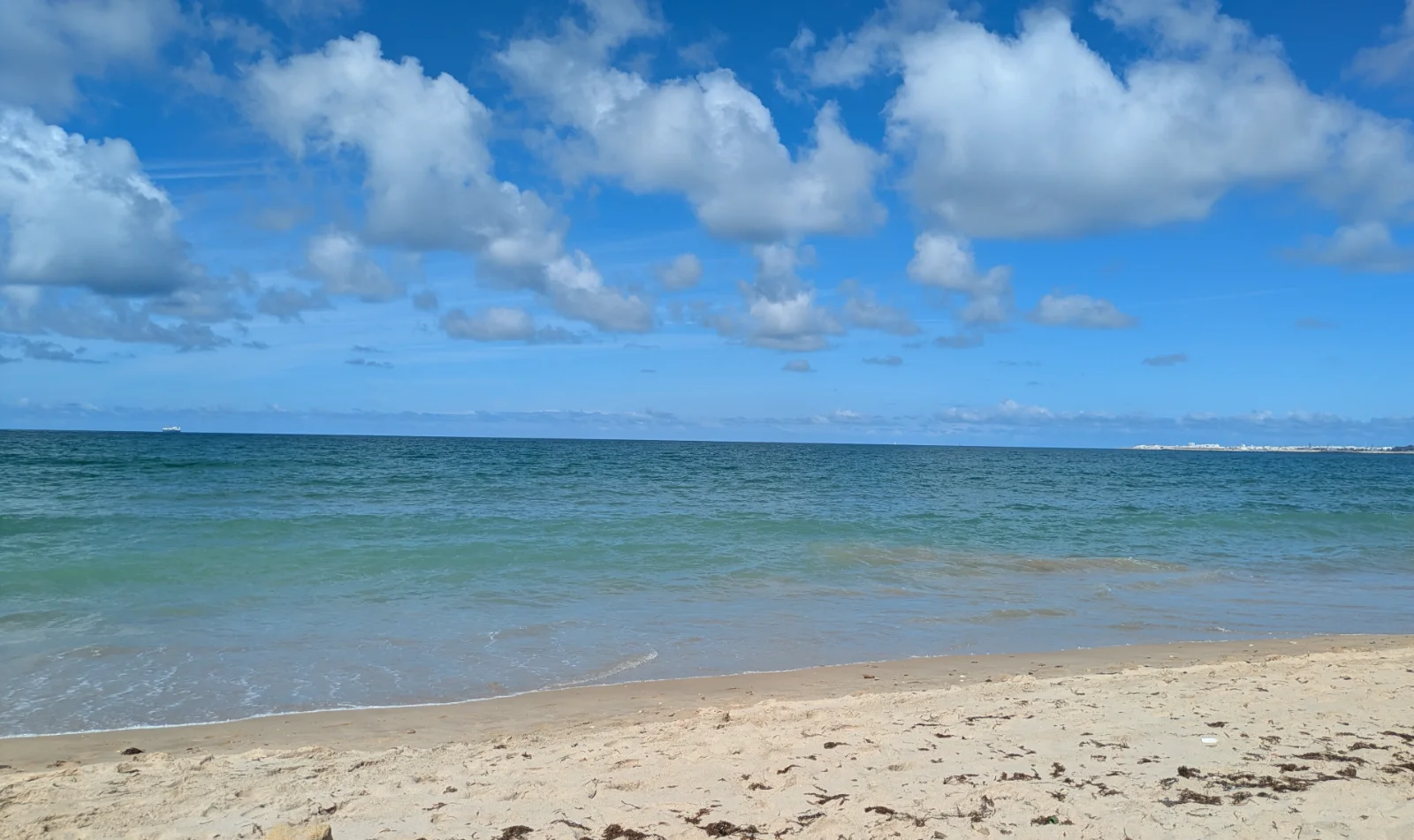 1000024670.webp