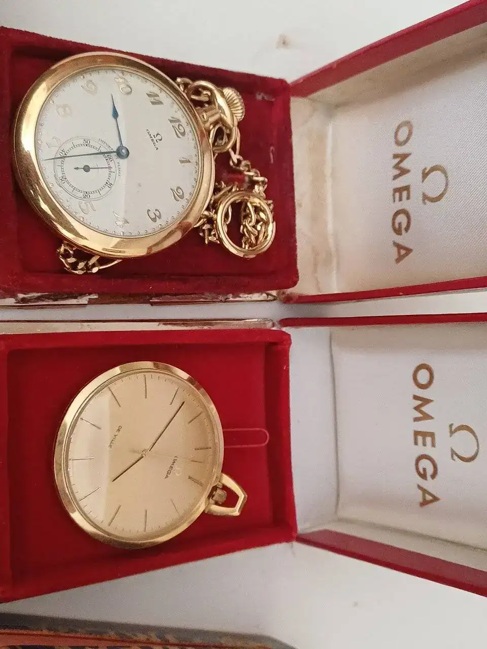 1000024899.jpg