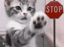 1000025330.gif