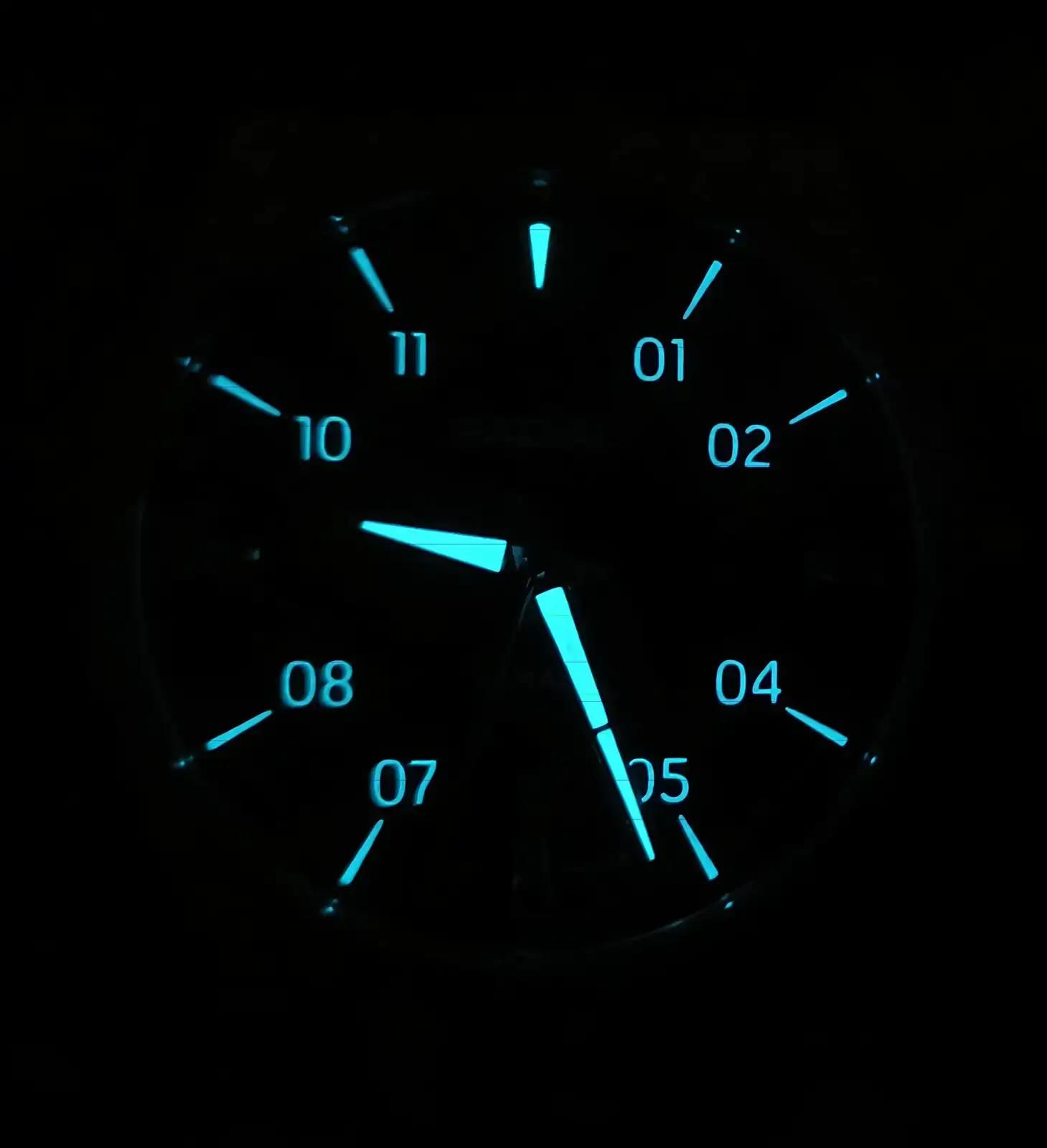 1000026187.webp