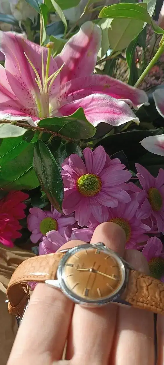 1000028096.jpg