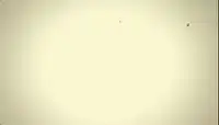 1000029315.webp
