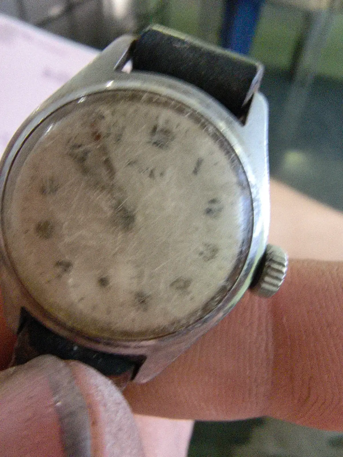 1000029429.webp