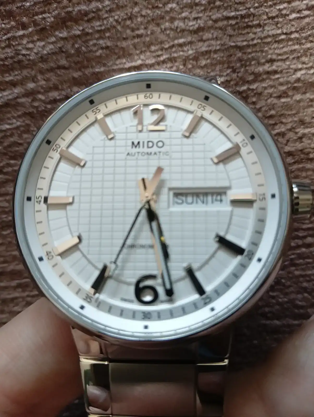 1000030194.webp