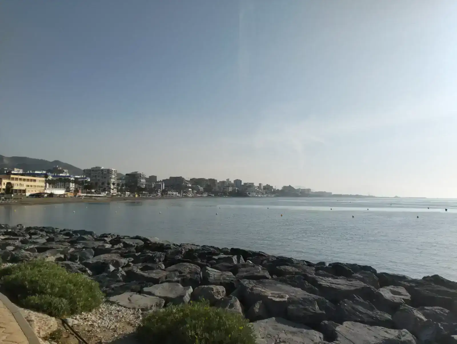 1000031835.webp