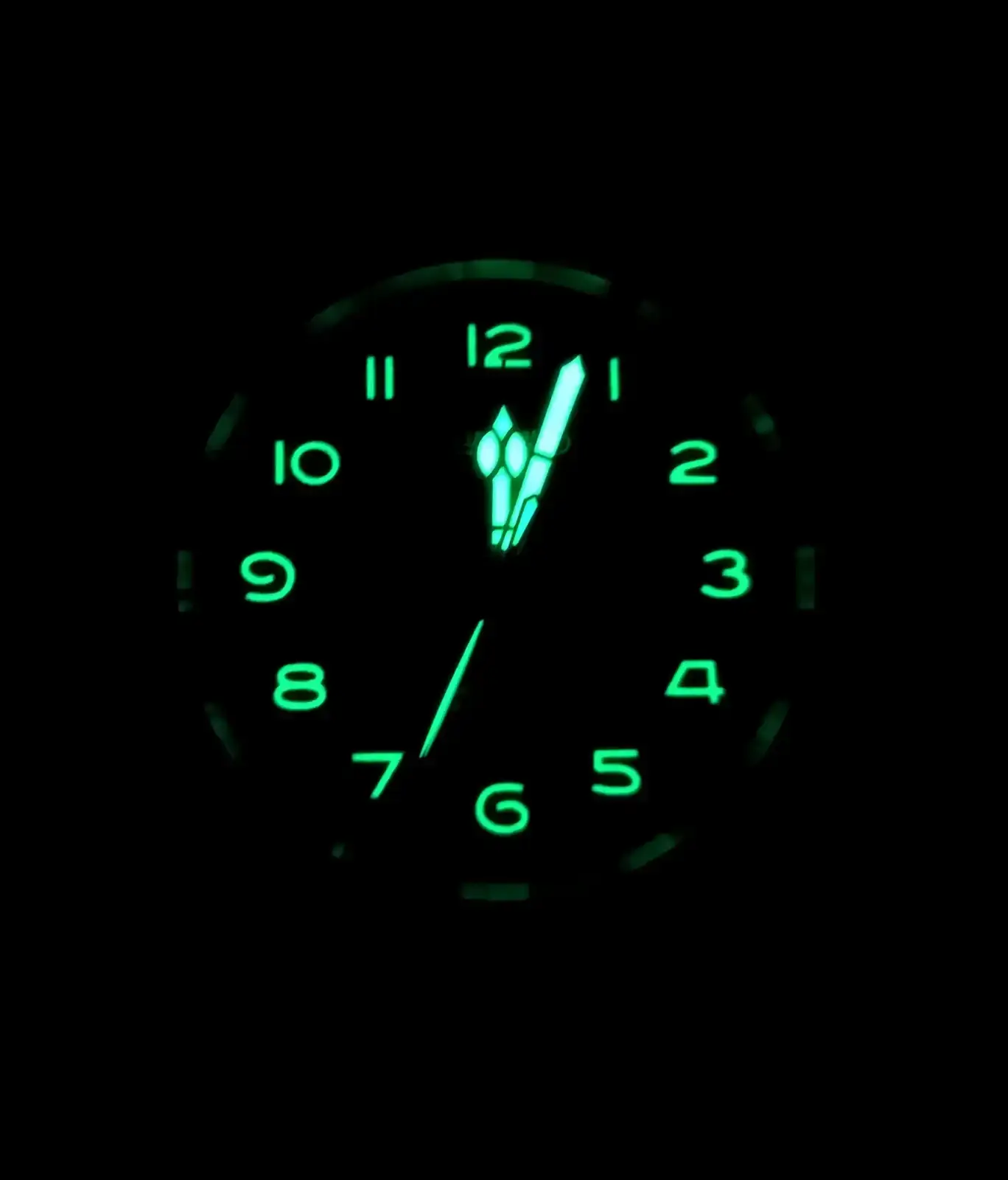 1000032131.webp