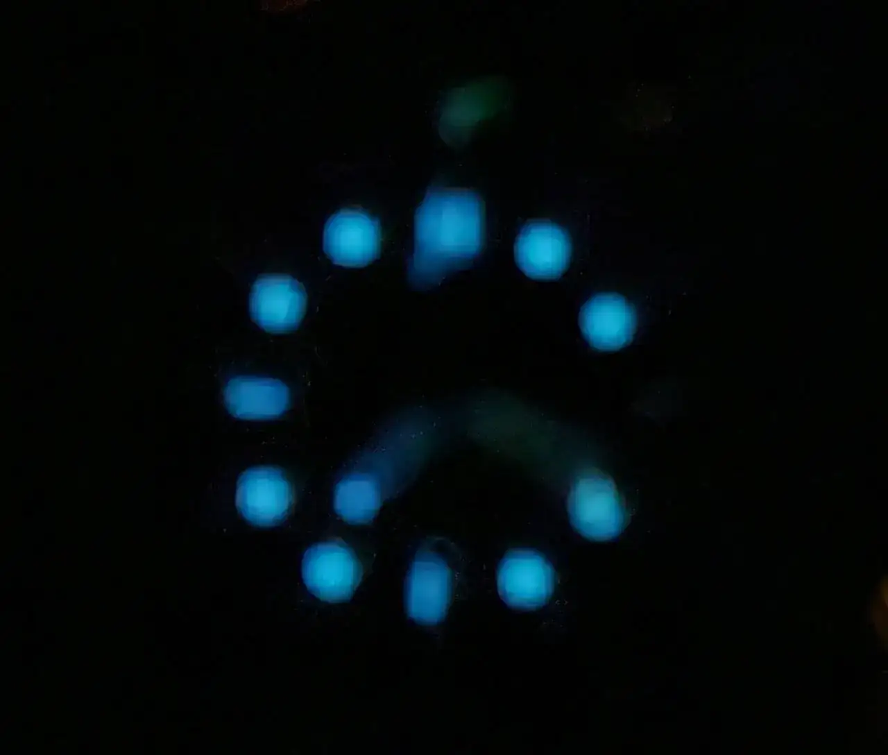 1000033485.jpg