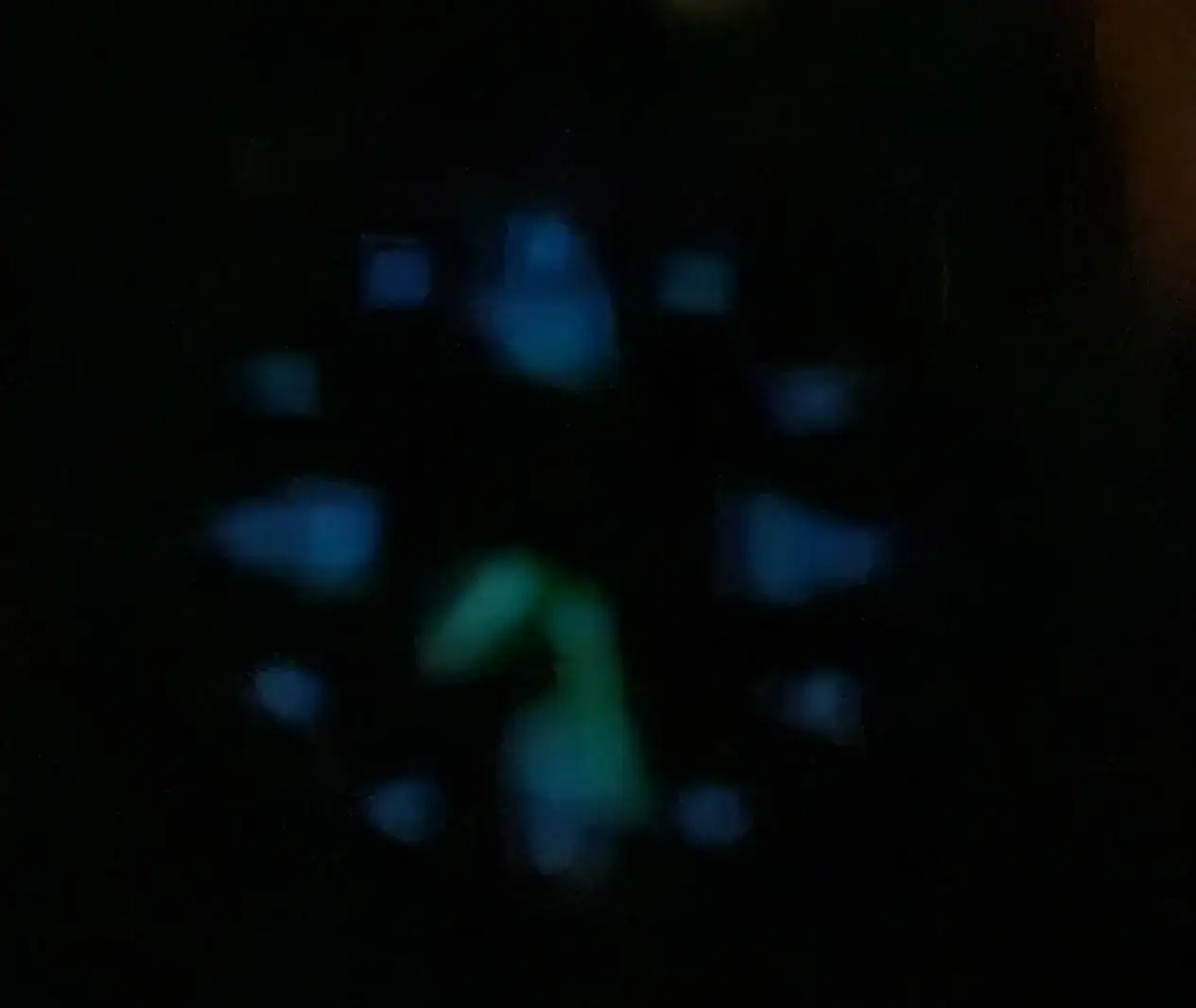 1000033486.jpg