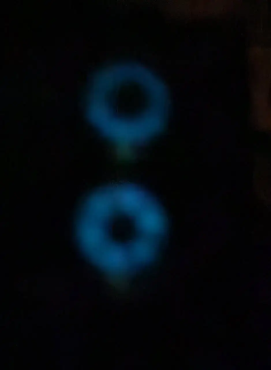 1000033489.jpg