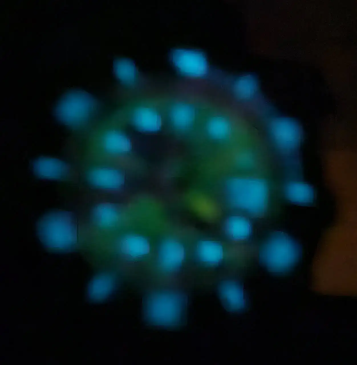 1000033490.jpg