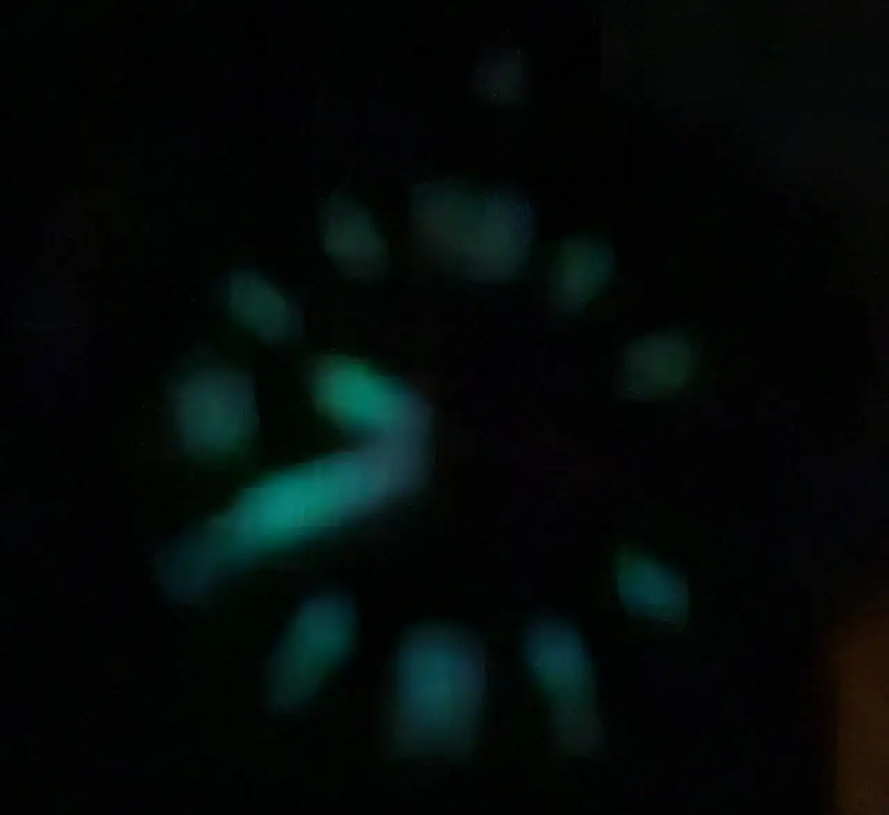1000033491.jpg