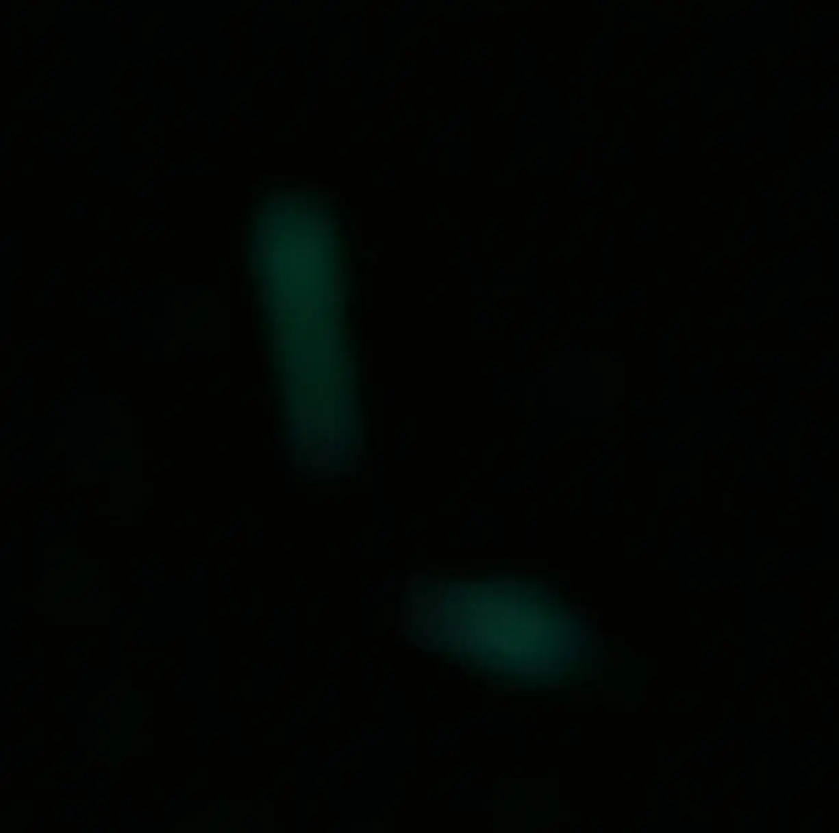 1000033493.jpg
