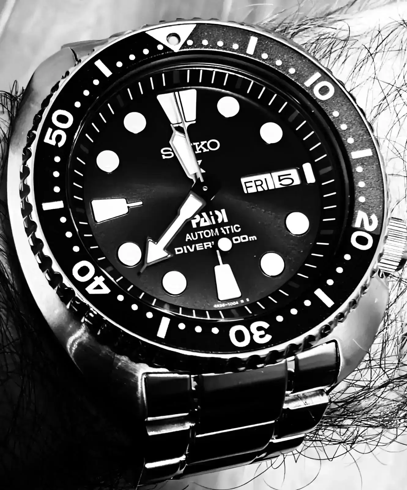 1000033495.webp