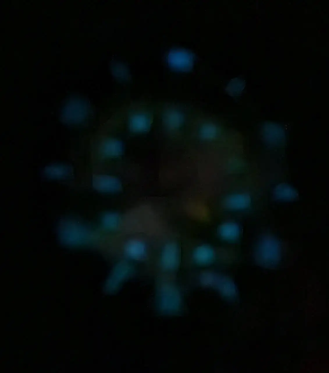 1000033591.jpg