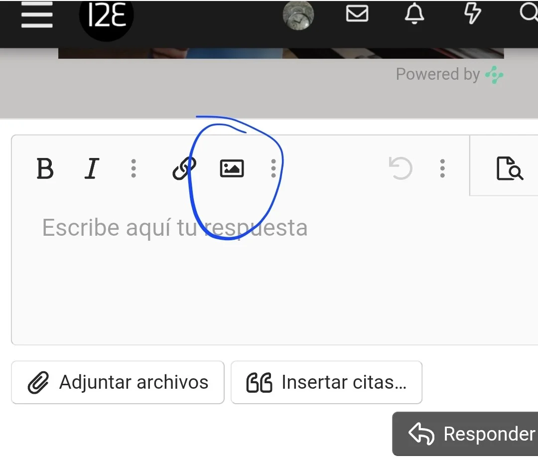 1000039095.webp