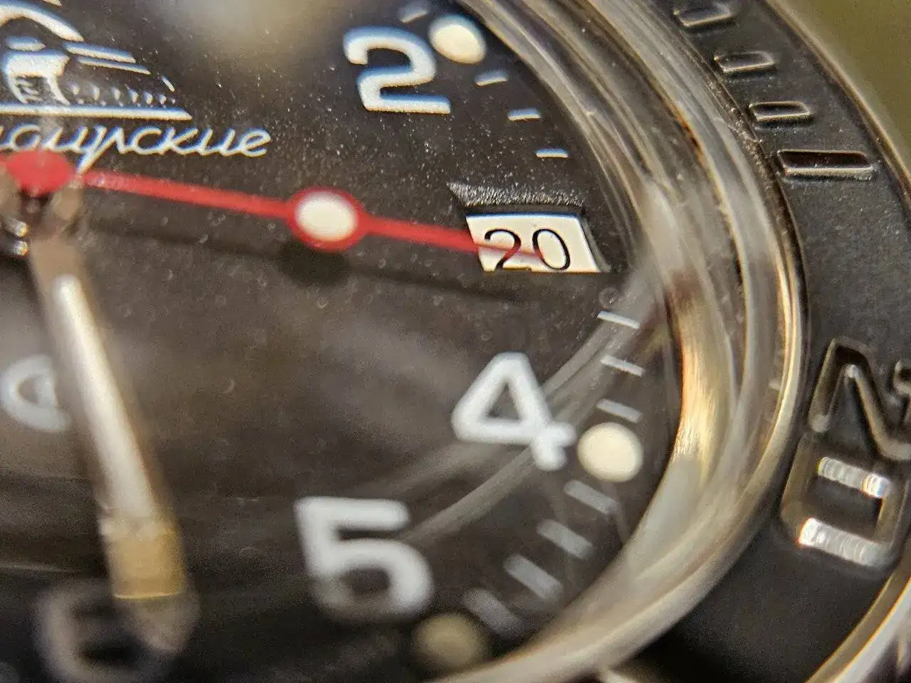 1000040066.jpg