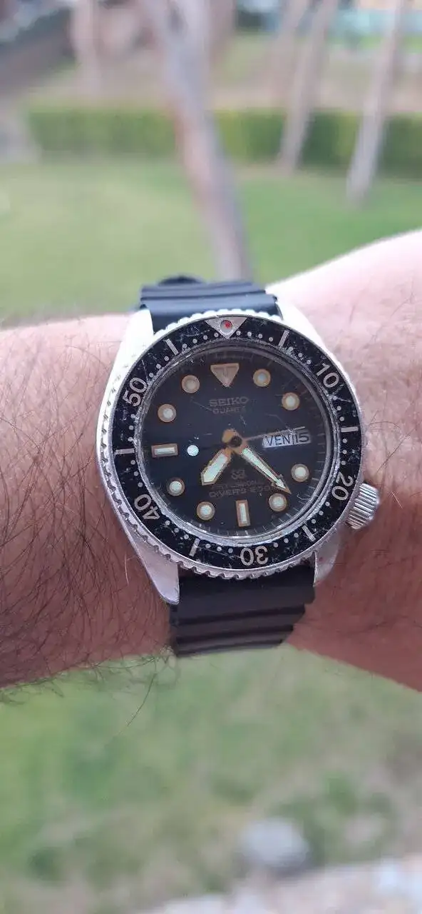 1000043046.jpg
