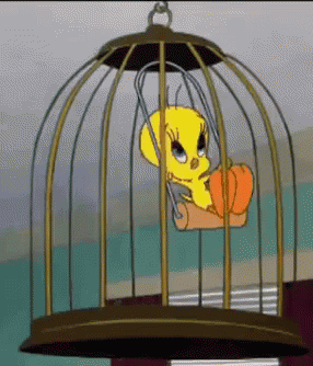 1000043256.gif