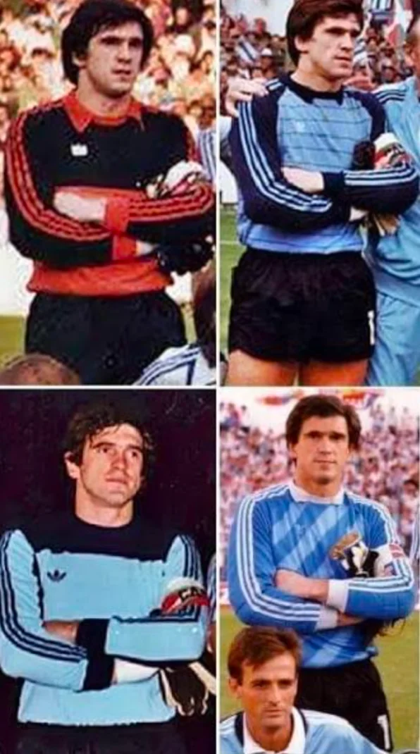 1000043421.webp 1000043421.webp