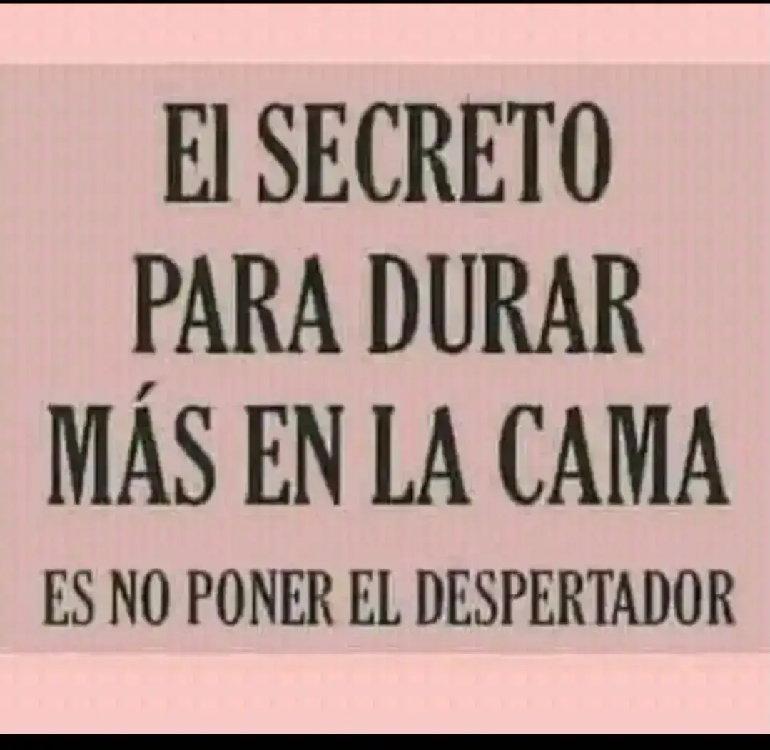1000043528.webp